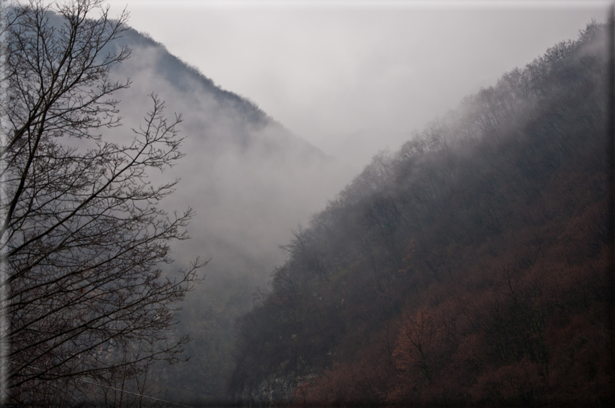 foto Colline di Romano d'Ezzelino nella Nebbia